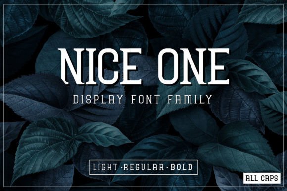 Nice One Font: A Modern Choice for Digital Branding